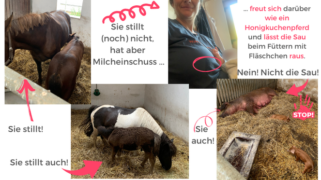 Tagebuch Marion Glück
