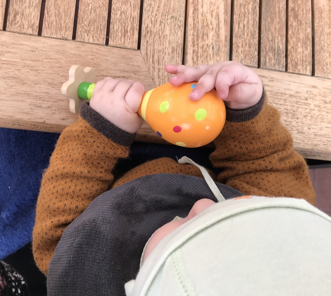 Tagebuch Anna