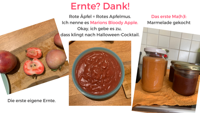 Tagebuch Marion Glück - 2. Lebensjahr