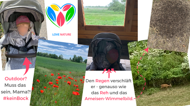 Tagebuch Marion Glück