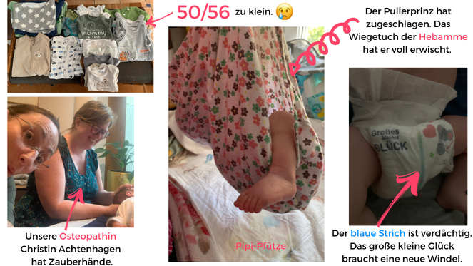 Tagebuch Marion Glück