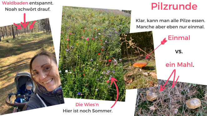 Tagebuch Marion Glück - 2. Lebensjahr