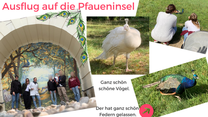 Tagebuch Marion Glück - 2. Lebensjahr