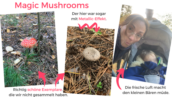 Tagebuch Marion Glück - 2. Lebensjahr