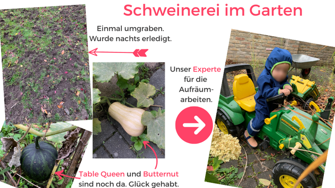 Tagebuch Marion Glück - 2. Lebensjahr