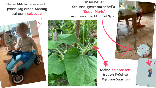 Tagebuch Marion Glück - 2. Lebensjahr