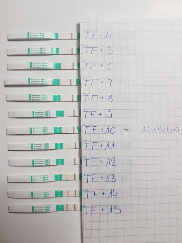 Tagebuch Kinderwunsch: Lina