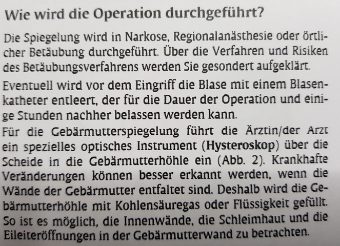 Tagebuch Kinderwunsch: Lina