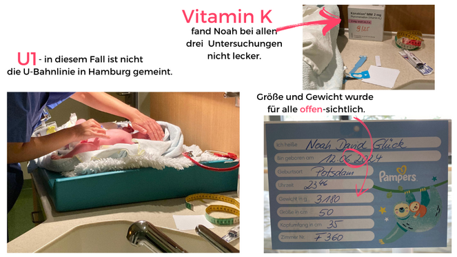 Tagebuch Marion Glück