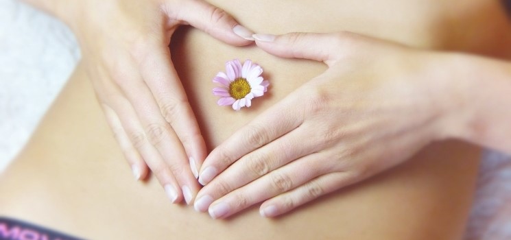 Am weiblichen Bauch die Fortpflanzungsbiologie erklären