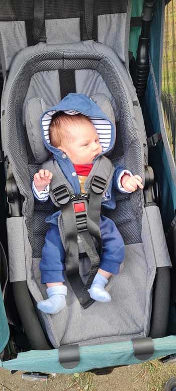 Qeridoo Test Testfamilie Bild