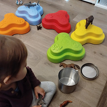 PT Heppy Rocks PT Heppy Rocks