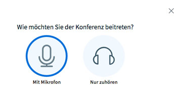 kivi Sitzung starten