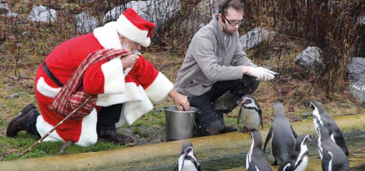 Weihnachtliche Erlebnisse im Tierpark