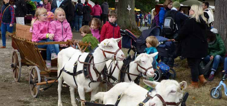 Herbstfest im Tierpark Sababurg
