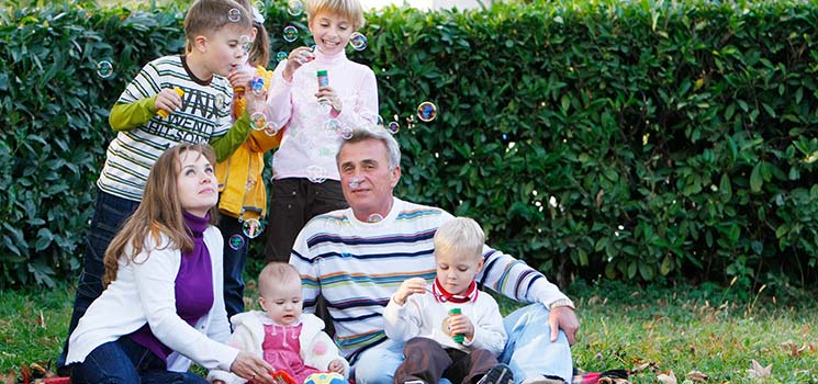 Pflegefamilien dringend gesucht