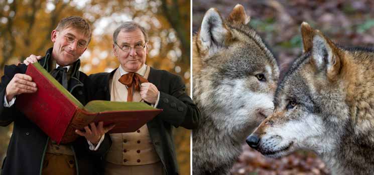 Sommerfamilienfest im Tierpark Sababurg