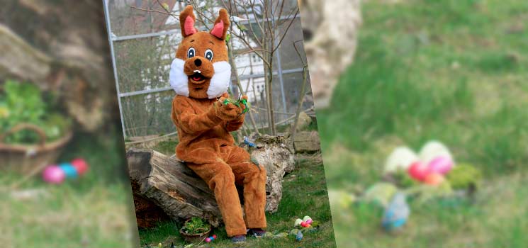 Ostern im Tierpark Sababurg