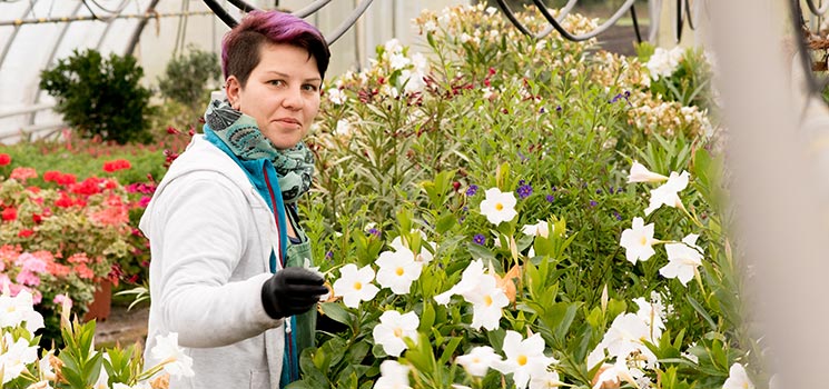 TaF-Teilzeitausbildung für junge Frauen