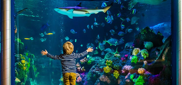 SEA LIFE und der Welt Downsyndrom Tag