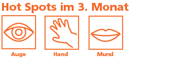 Meilensteine in der Entwicklung des Ungeborenen im 3. Monat sind Auge, Hand und Mund