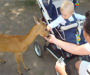 Babytagebuch Sophie Zoo