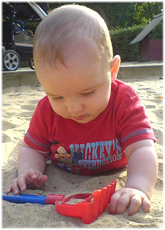 Leon im Sand