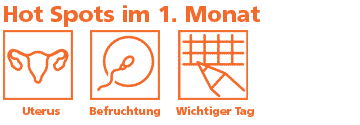 Meilensteine in der Entwicklung des Ungeborenen im 1. Monat